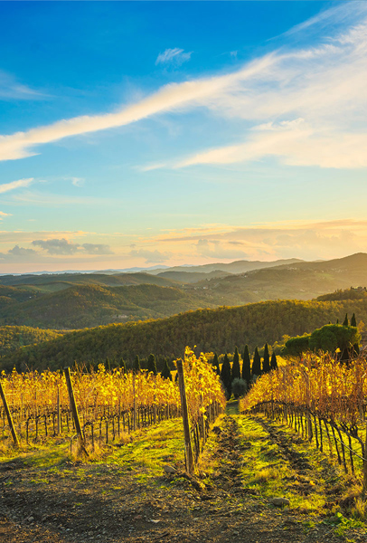 Chianti