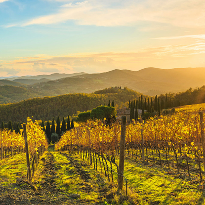 Chianti