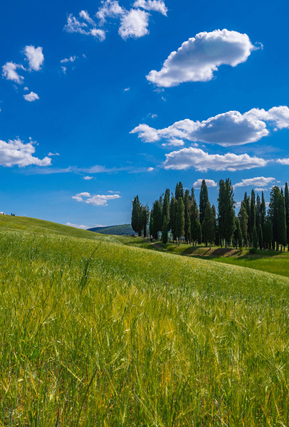 Val d'Orcia