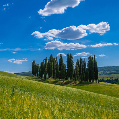 Val d'Orcia