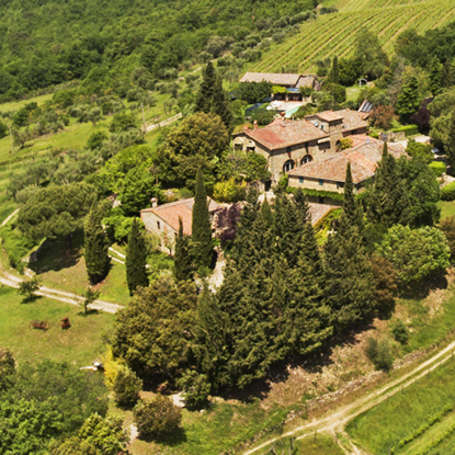 Farms and Wine-producing farms